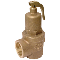 Safety Relief Valve (Fig 542)