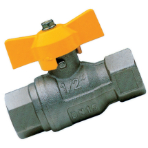 Ball & Check Valves 1/4inch F/F Full Flow - 'T' Handle