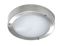 Stainless Steel Wall/Ceiling Outdoor Light